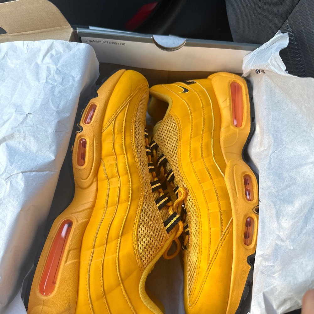 NYC Air max 95 university gold